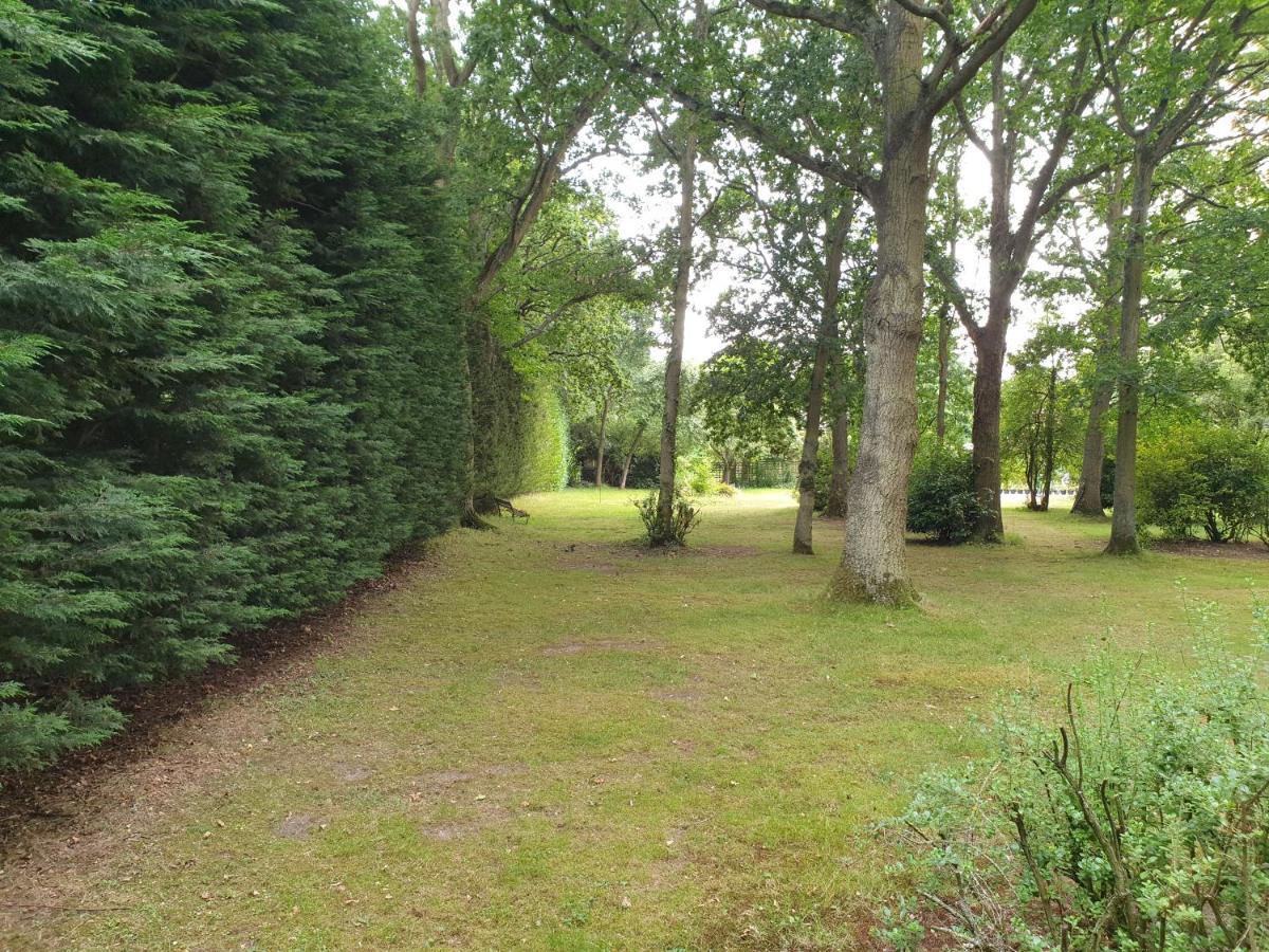 The Reading Whole Chalet With Lake And Two Acre Gardens Eksteriør billede