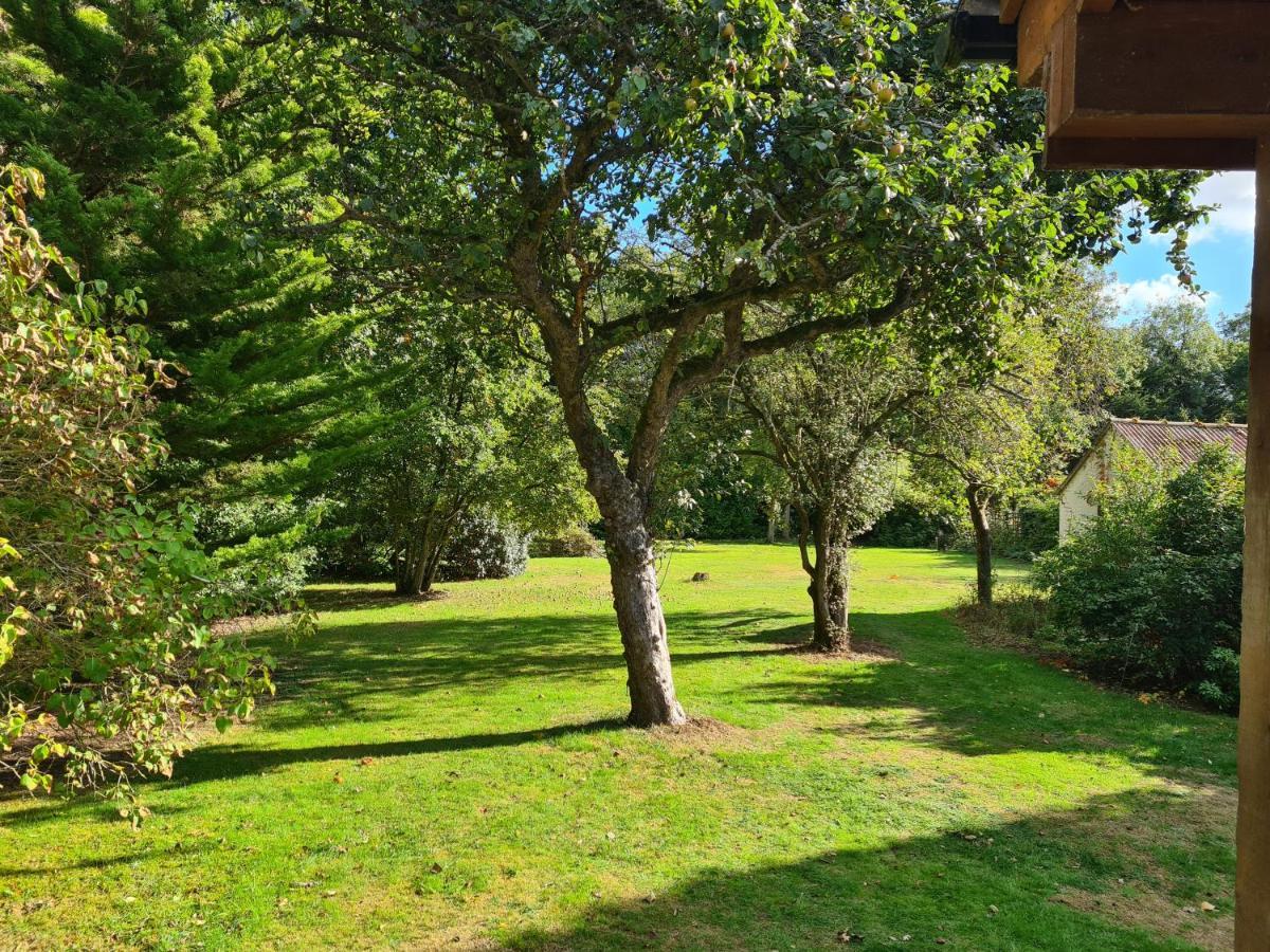 The Reading Whole Chalet With Lake And Two Acre Gardens Eksteriør billede